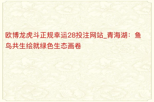 欧博龙虎斗正规幸运28投注网站_青海湖：鱼鸟共生绘就绿色生态画卷
