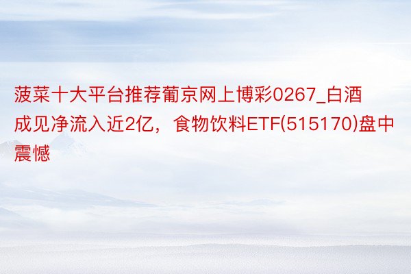 菠菜十大平台推荐葡京网上博彩0267_白酒成见净流入近2亿，食物饮料ETF(515170)盘中震憾
