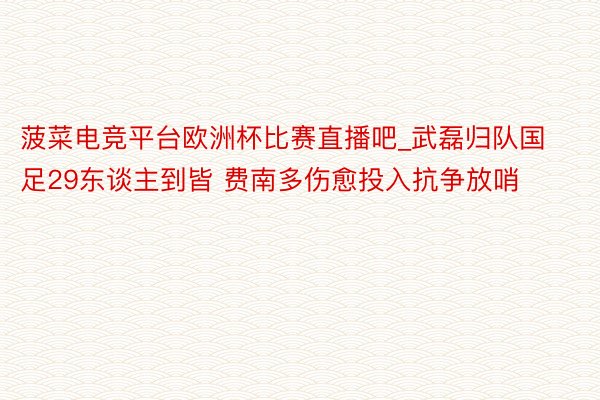菠菜电竞平台欧洲杯比赛直播吧_武磊归队国足29东谈主到皆 费南多伤愈投入抗争放哨