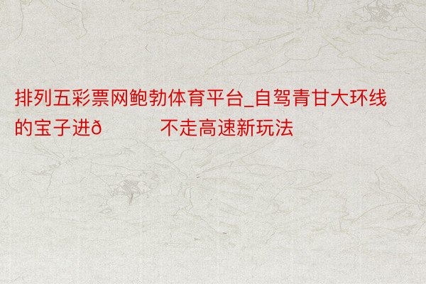 排列五彩票网鲍勃体育平台_自驾青甘大环线的宝子进🚙不走高速新玩法