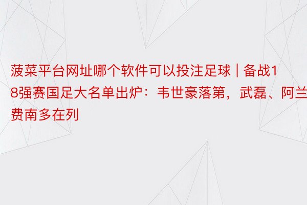 菠菜平台网址哪个软件可以投注足球 | 备战18强赛国足大名单出炉：韦世豪落第，武磊、阿兰、费南多在列