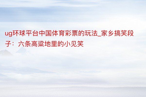 ug环球平台中国体育彩票的玩法_家乡搞笑段子：六条高粱地里的小见笑